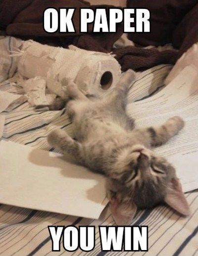 Paper_cat_image