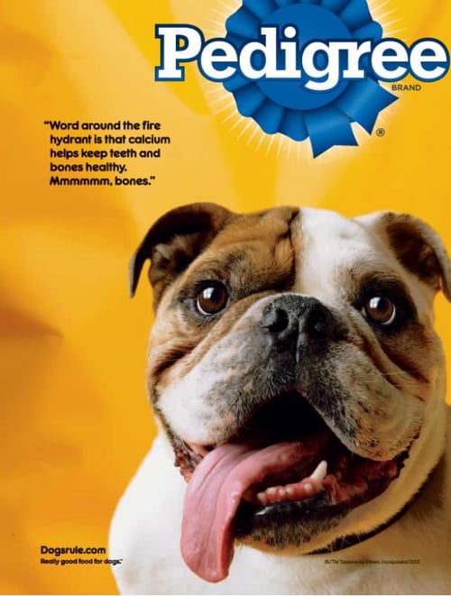 writing-prompt-dog-food-ad.jpg