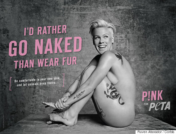 writing-prompt-peta-ad.jpg