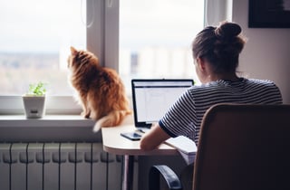 Girl studying with cat