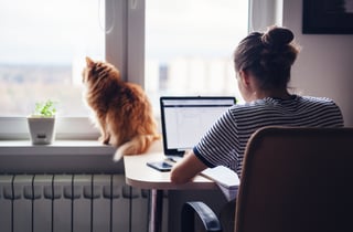 essay planner AdobeStock_201198183