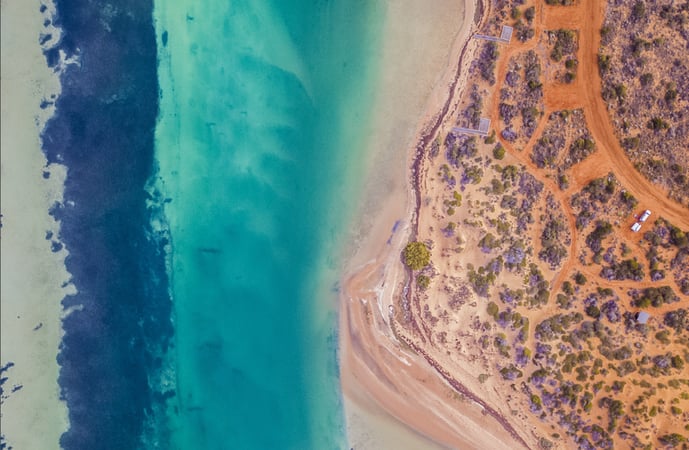 Start with fairness and quality: Studiosity's CSR approach