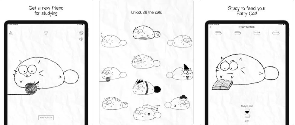 Fatty Cat study companion app - images of the cat on the mobile screen