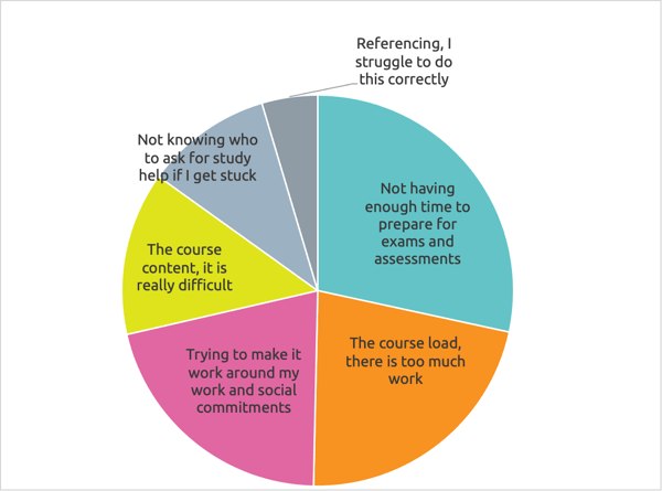 Reasons for stress pie chart