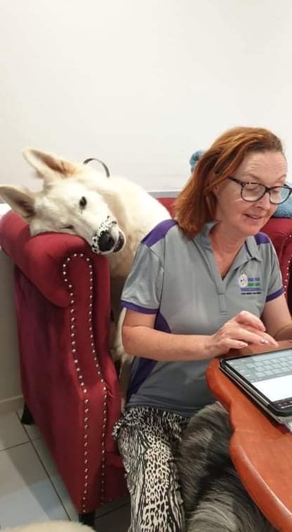 Student view: A day in the life of a mature-aged Creative Writing student