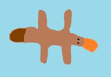 blog_platypus blog_platypus