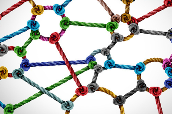 Diversity Policy image