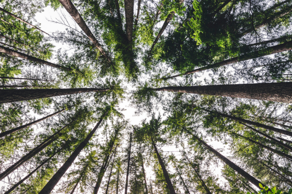 Untitled design (31)